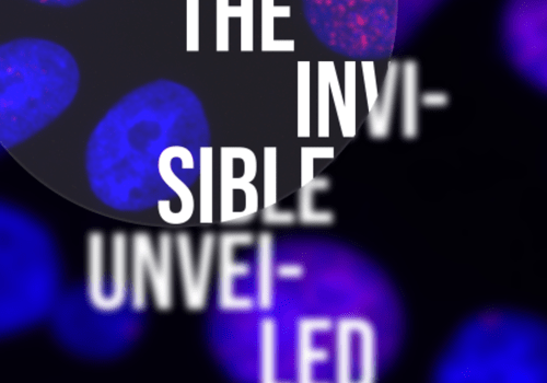 The Invisible Unveiled