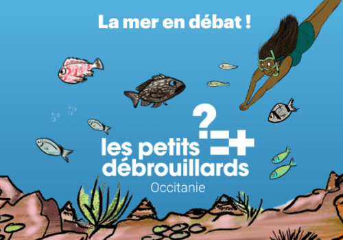 Illustration: La mer en débat - Les Petits Débrouillards Occitanie