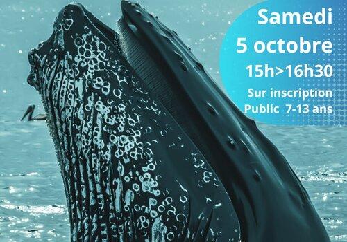 Affiche atelier Cétaplanète à la découverte des baleines à bosse  - Médiathèque de Locminé