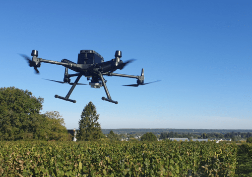 Drone survolant des vignes