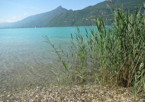 Stand Up "Pourquoi le lac devient turquoise en été ?"