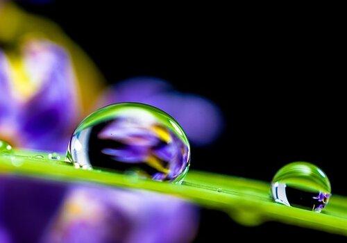 L'eau une ressource vitale