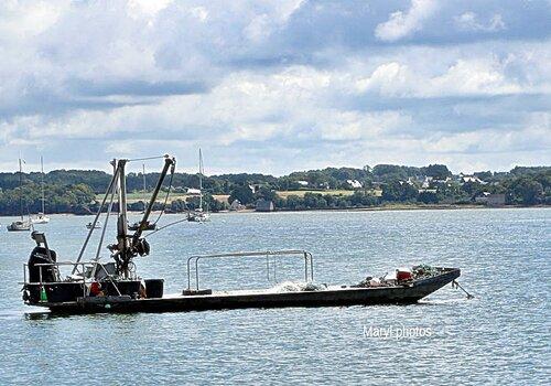 Une barge conchylicole ancrée devant Pen Mané Bihan à Locmiquélic  témoigne de l'activité conchylicole actuelle dans l'estuaire du Blavet.