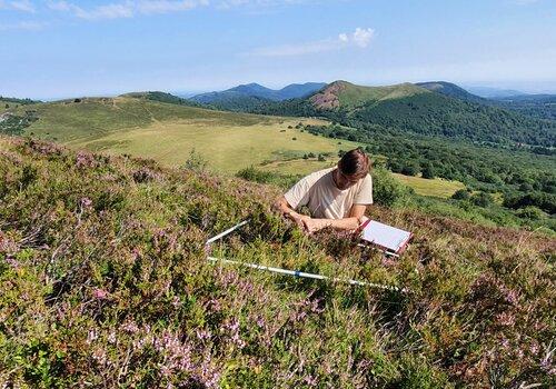 Paysage des volcans d'Auvergne avec un ecologue prenant des mesures de la végétation