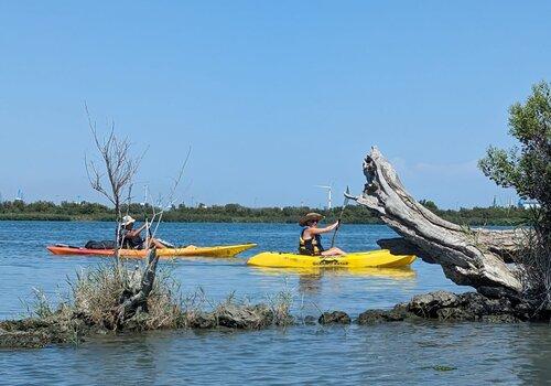 Kayak à l'embouchure du Grand Rhône