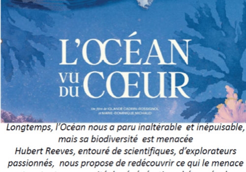 Affiche film Océan vu du cœur