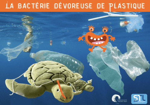 Image présentant les déchets plastiques de l'océan avec une tortue de mer en peluche avec une paille bloquée dans les voies respiratoires.