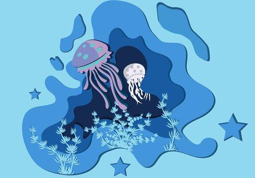 jellyfish