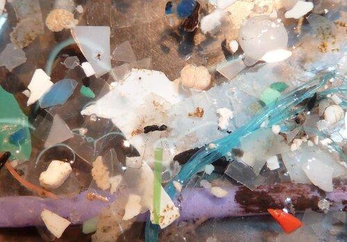 Les microplastiques sur une plage du Finistère