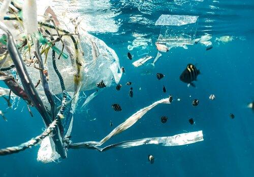 Conférence à deux voix "Une pollution émergente en mer"