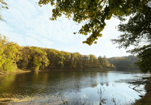 c'est la Durance avec les arbres autour