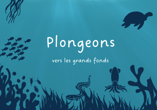 Plongeons vers les grands fonds