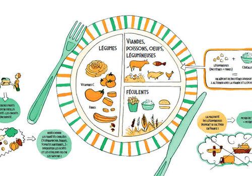 Un enjeu planétaire : l'alimentation durable | Acteurs de l'éducation