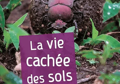 Couverture de " La vie cachée des sols" par Philippe HINSINGER chez QUAE