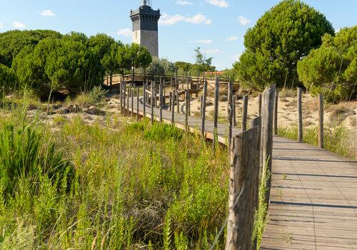 Phare Espiguette