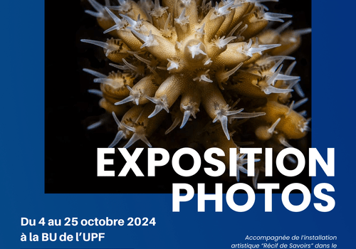 Expo photos Millimages des récifs IRCP FDS 2024