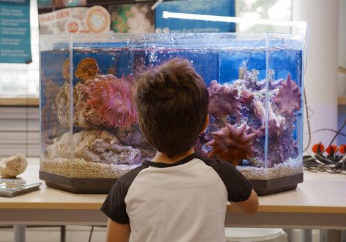 Elèves lors d'une animation autour de l'eau pendant la Fête de la science