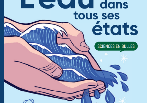 Sciences en Bulles