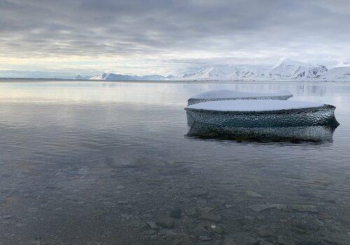 Photo d'une banquise en Arctique