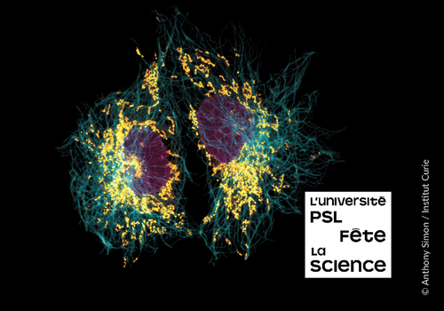 Image de la fête de la science 2024 à l'Institut Curie