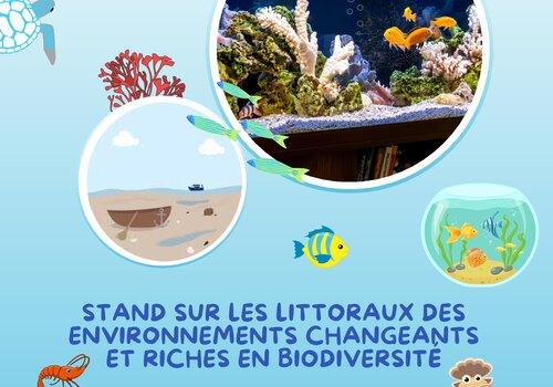 les littoraux, des environnements changeant et riches en biodiversité