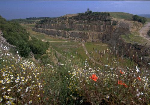 visite-mont-uranium