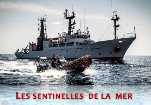 Les sentinelles de la mer