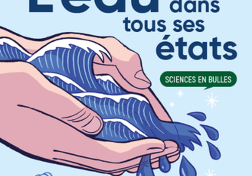 Couverture Sciences en bulles