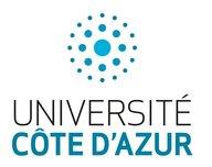 Inscription en majuscules sur 2 lignes UNIVERSITE (en gris) Côte d'Azur (en turquoise), surmonté d'une boule formée par des Points bleus turquoise disposés en cercles concentriques. Plus on s'éloigne du centre plus les points sont petits 