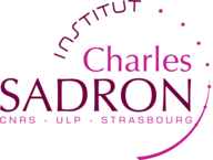 Logo institut charles sadron