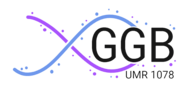 Logo GGB