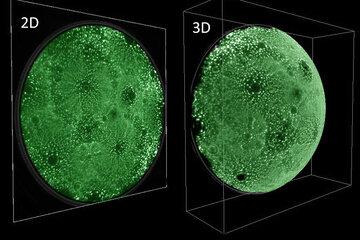 Observation d'atomes au microscope