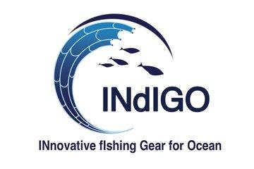 Logo projet INdIGO