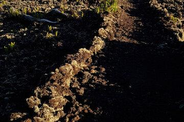 Une photo d'un chemin taillé dans une coulée de lave.