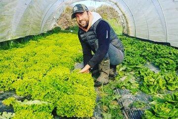 Ferme des Grenouilles - Maraîchage biologique