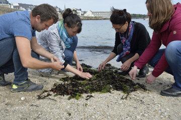 Atelier proposé par le Village des Sciences de Concarneau