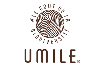 Image UMILE