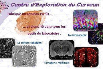 Centre d'exploration du cerveau