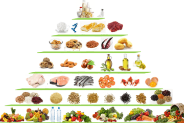 pyramide alimentaire