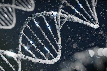 modélisation de la double hélice d'ADN