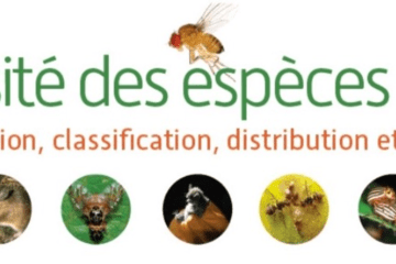 Biodiversité et santé