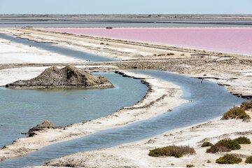 salins