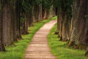 Sports et Nature