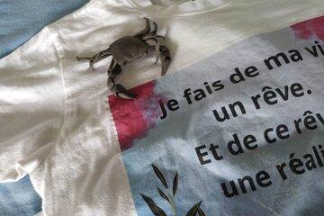 Le crabe est imprimé en 3D. L'image est imprimée sur le T-shirt.