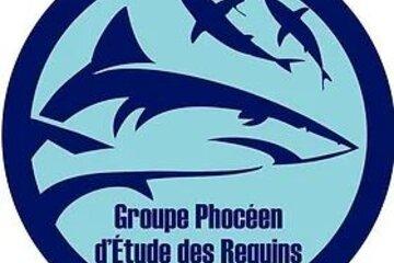 groupe phocéen