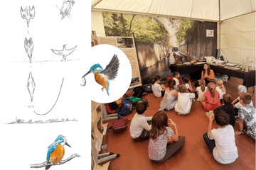 Dessins naturalistes de Martin pêcheur en train de plonger et stand du muséum au village des sciences