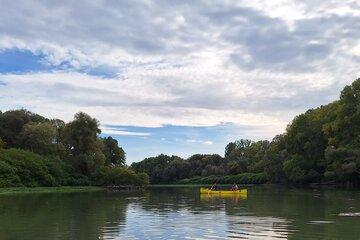 canoë sur le Rhône