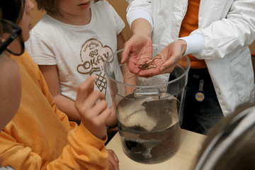 Scientifique montrant à des enfants un animal marin étudié dans leur laboratoire à Villefranche-sur-Mer