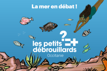 Illustration: La mer en débat - Les Petits Débrouillards Occitanie