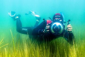 Un plongeur sous l'eau avec une caméra à la main